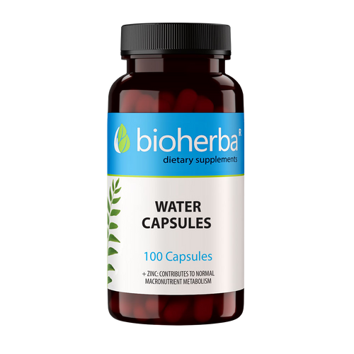 Bioherba – Kapsuly proti zadržiavaniu vody a na detoxikáciu